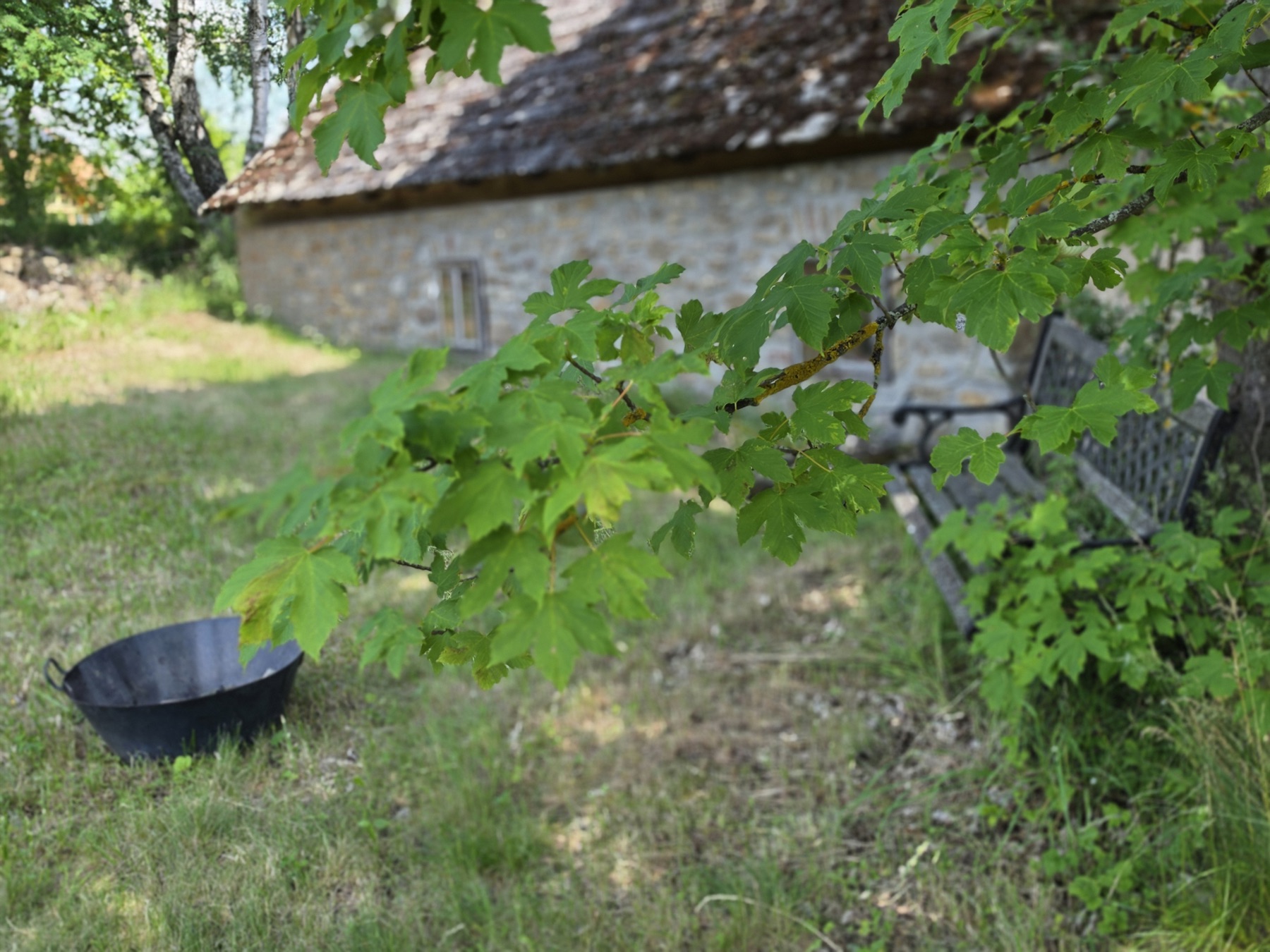 Grillmöglichkeit